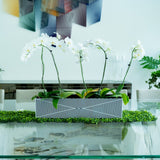 Large Acrylic Multi-Orchid Planter