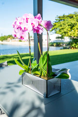 Medium Acrylic Multi-Orchid Planter