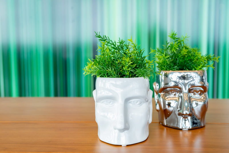 Ceramic Face Planter