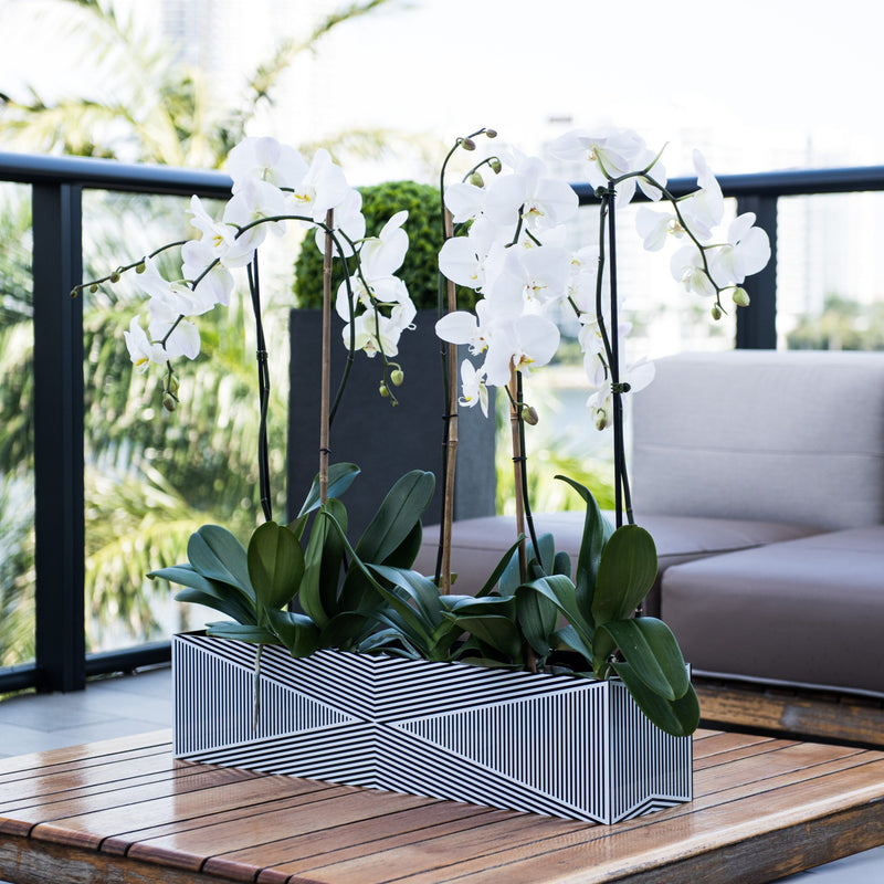 Large Acrylic Multi-Orchid Planter