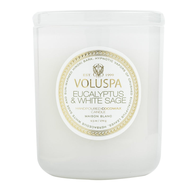 Eucalyptus & White Sage 9.5 Oz Classic Candle