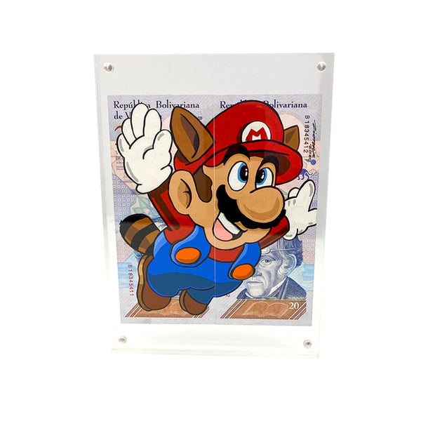 Flying Mario  - Currency Art