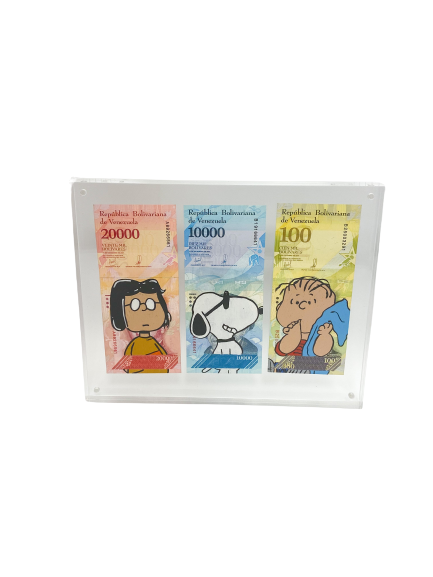 Snoopy Fam - Currency Art