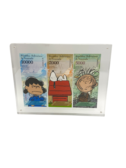 Sleeping Snoopy Fam - Currency Art